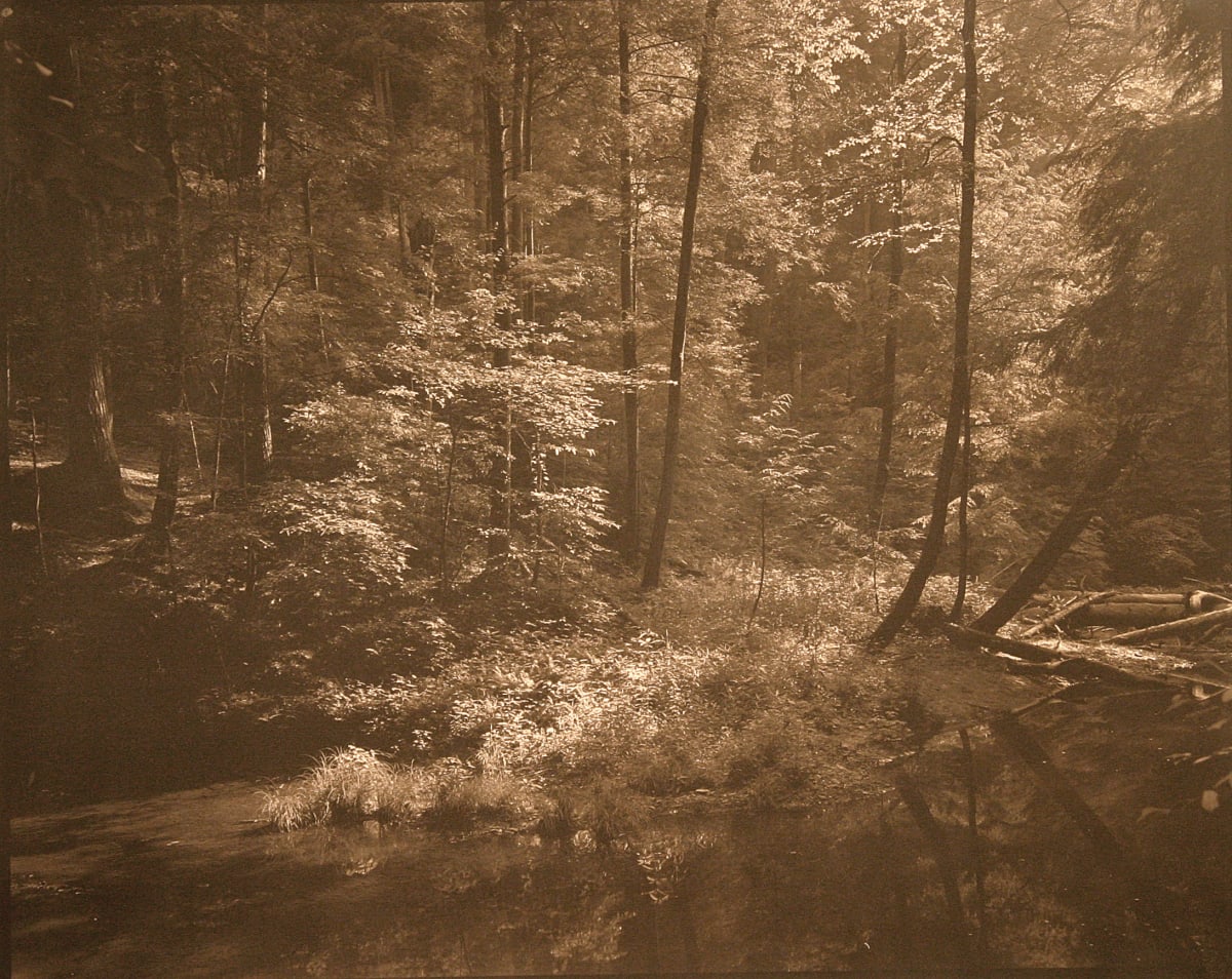 #159 Light along a Stream II, Hocking Hills by Frank Hunter 