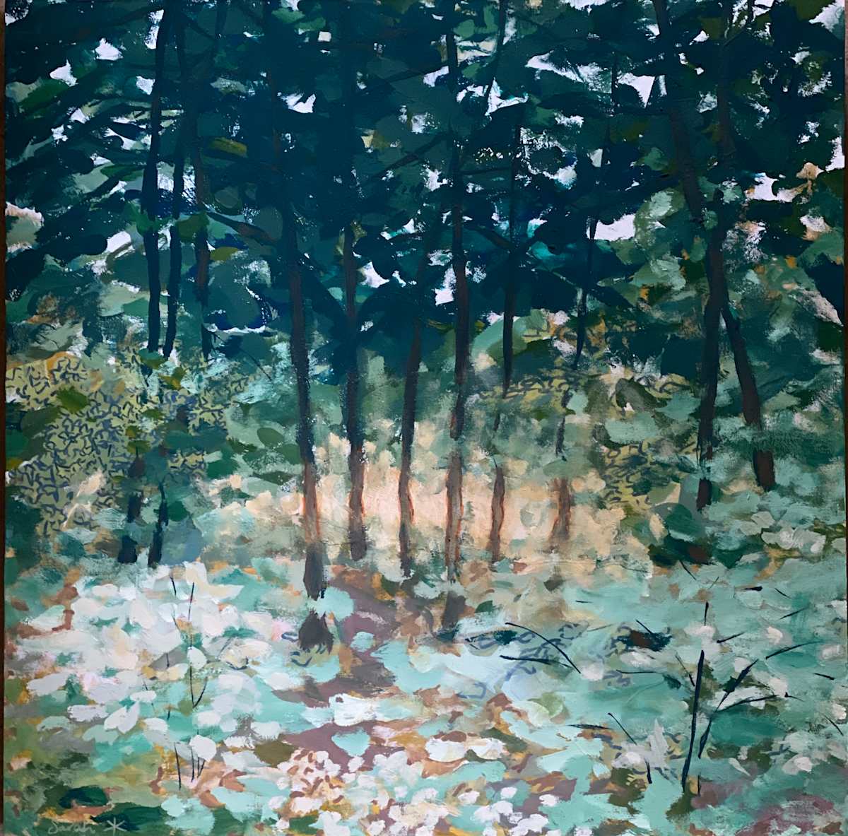 Lake Sunset Through the Bush by Sarah Robinson, Image 1.