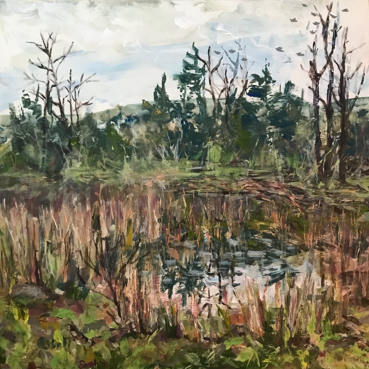 Marshland along hwy 50  Image: Marsh and beaver dam. Painted using brushes, scraper, palette knife