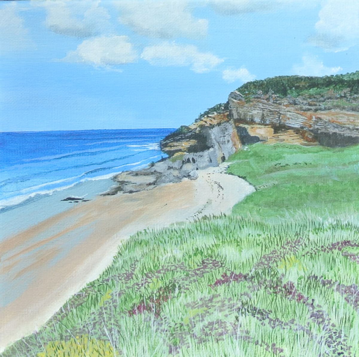 Cove Bay by Lois Dubber 