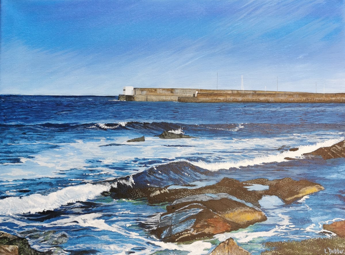 Blank Cards by Lois Dubber 