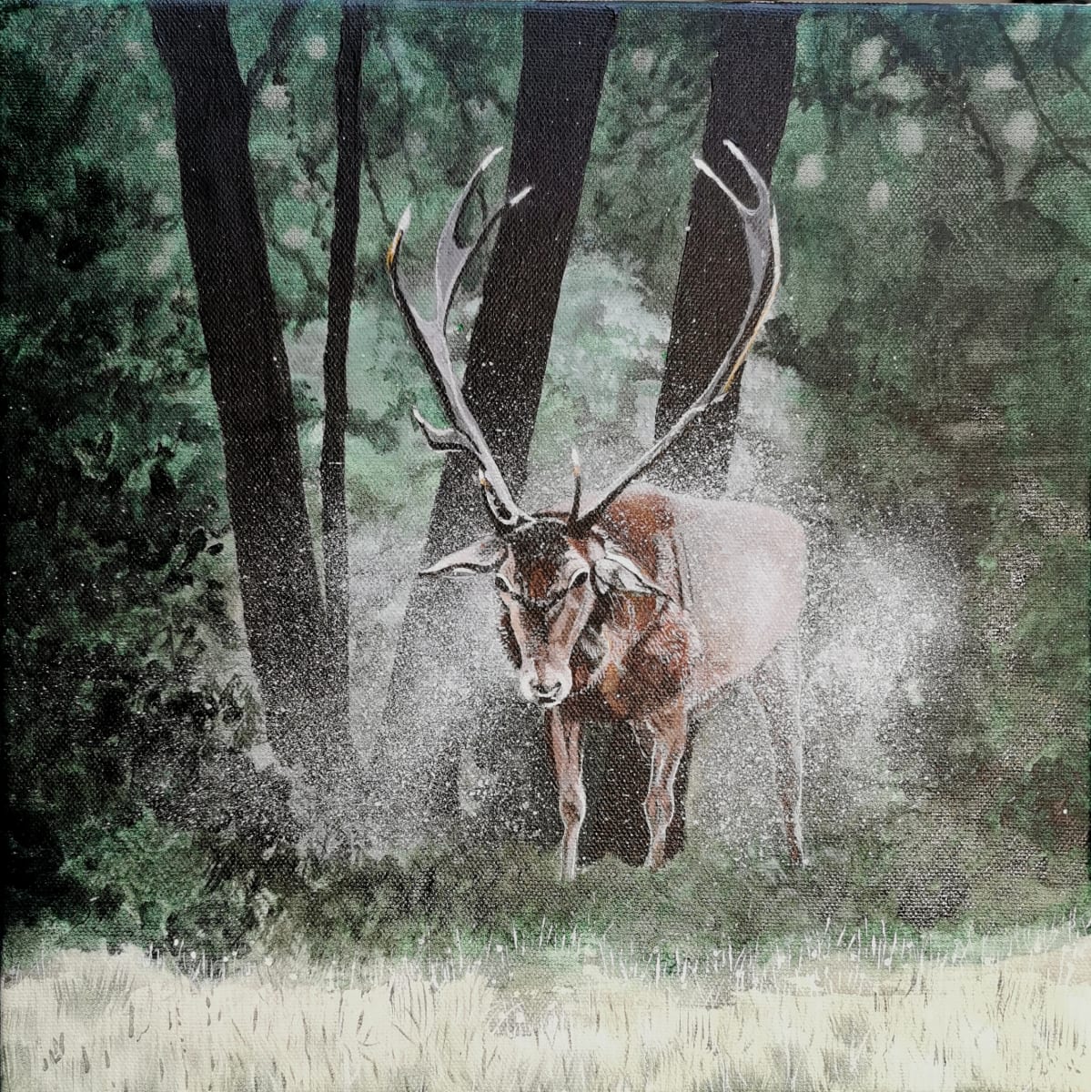 Shake it off by Lois Dubber 