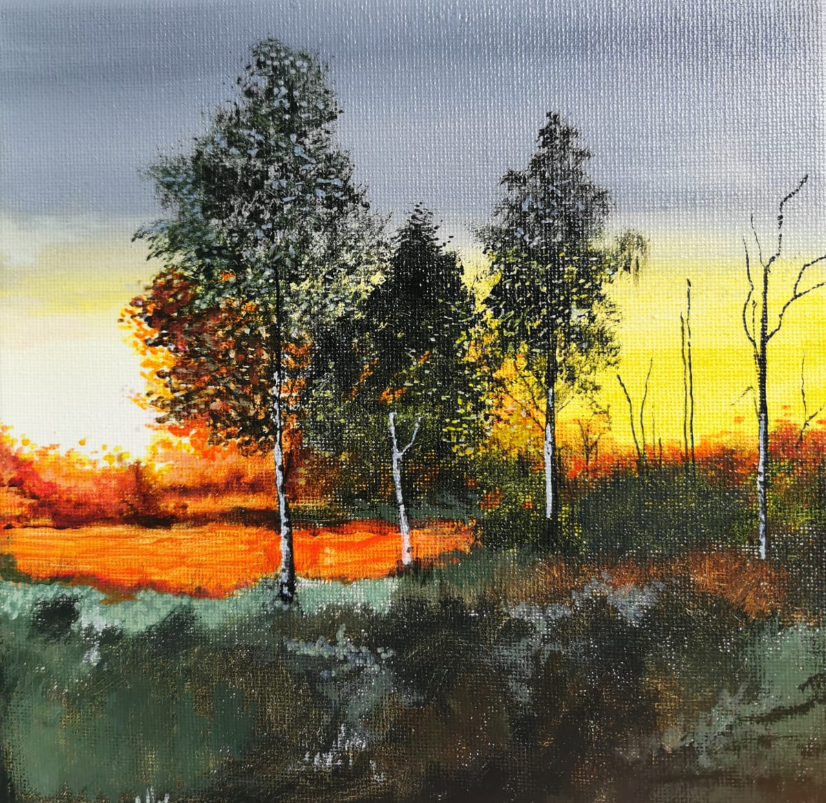 Morning Awakening by Lois Dubber 
