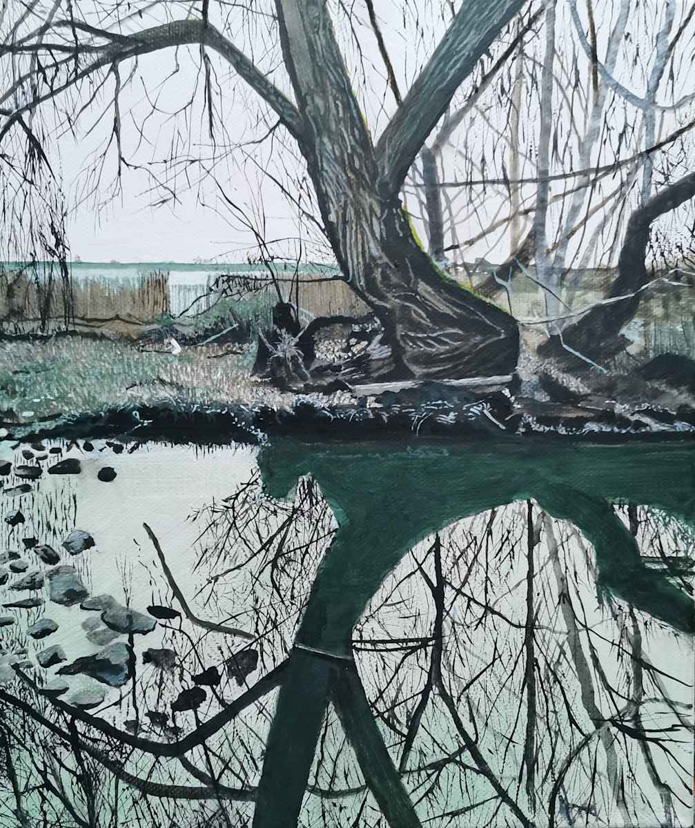 Reflective walk by Lois Dubber 