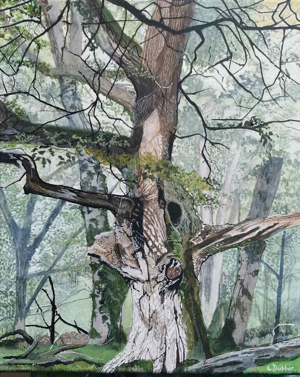 Old oak by Lois Dubber 