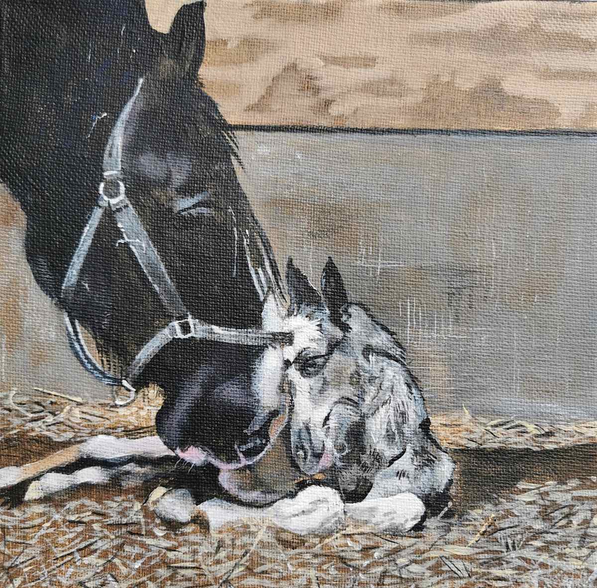 The foal by Lois Dubber, Image 1.