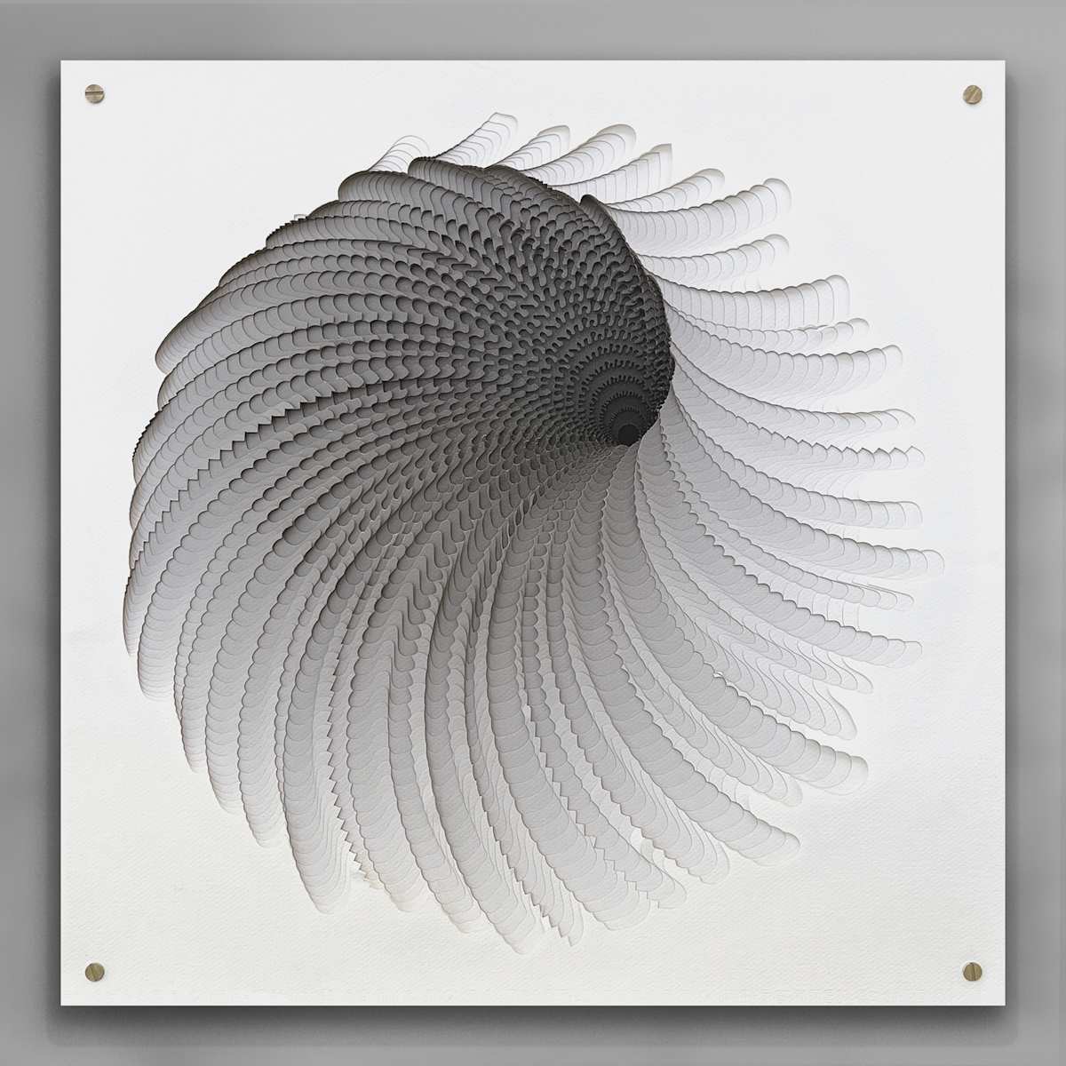 Whorl by Ruth Becker 