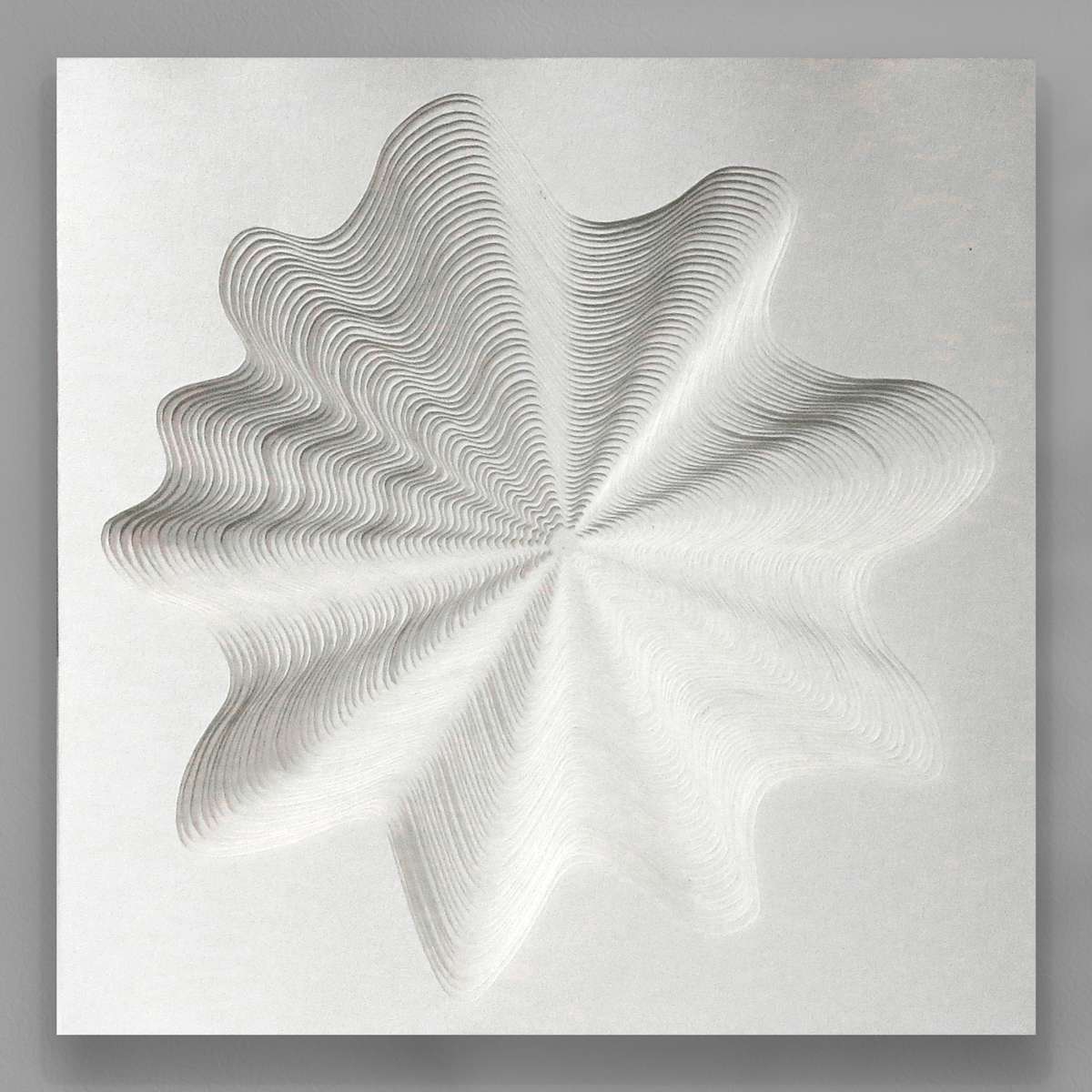 Topo I by Ruth Becker 