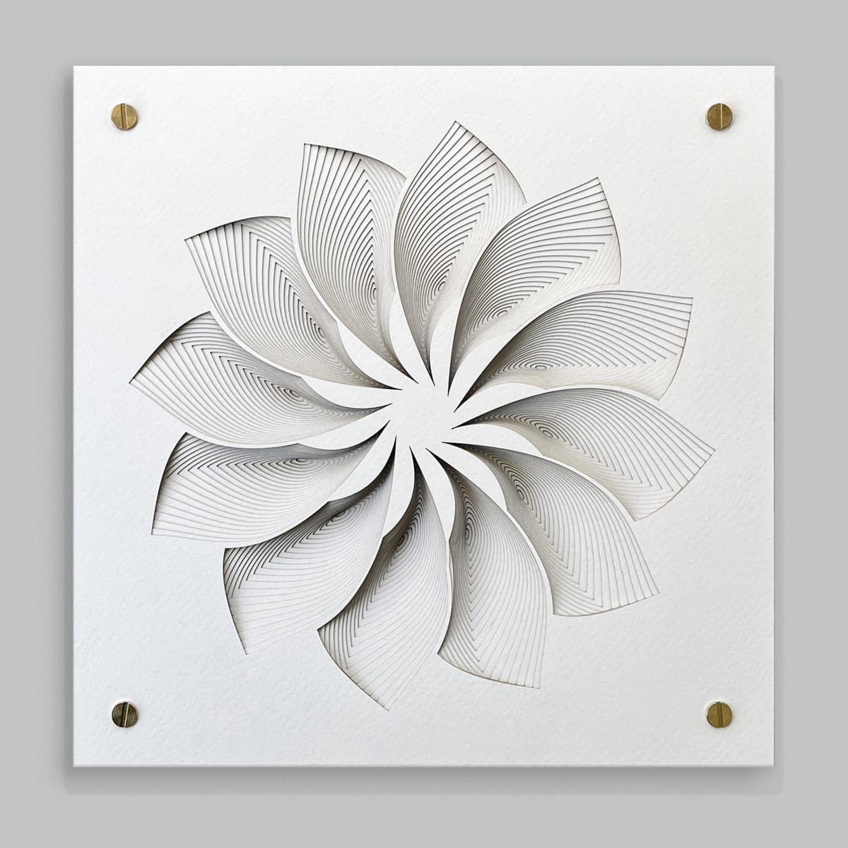 Bloom 254 by Ruth Becker 