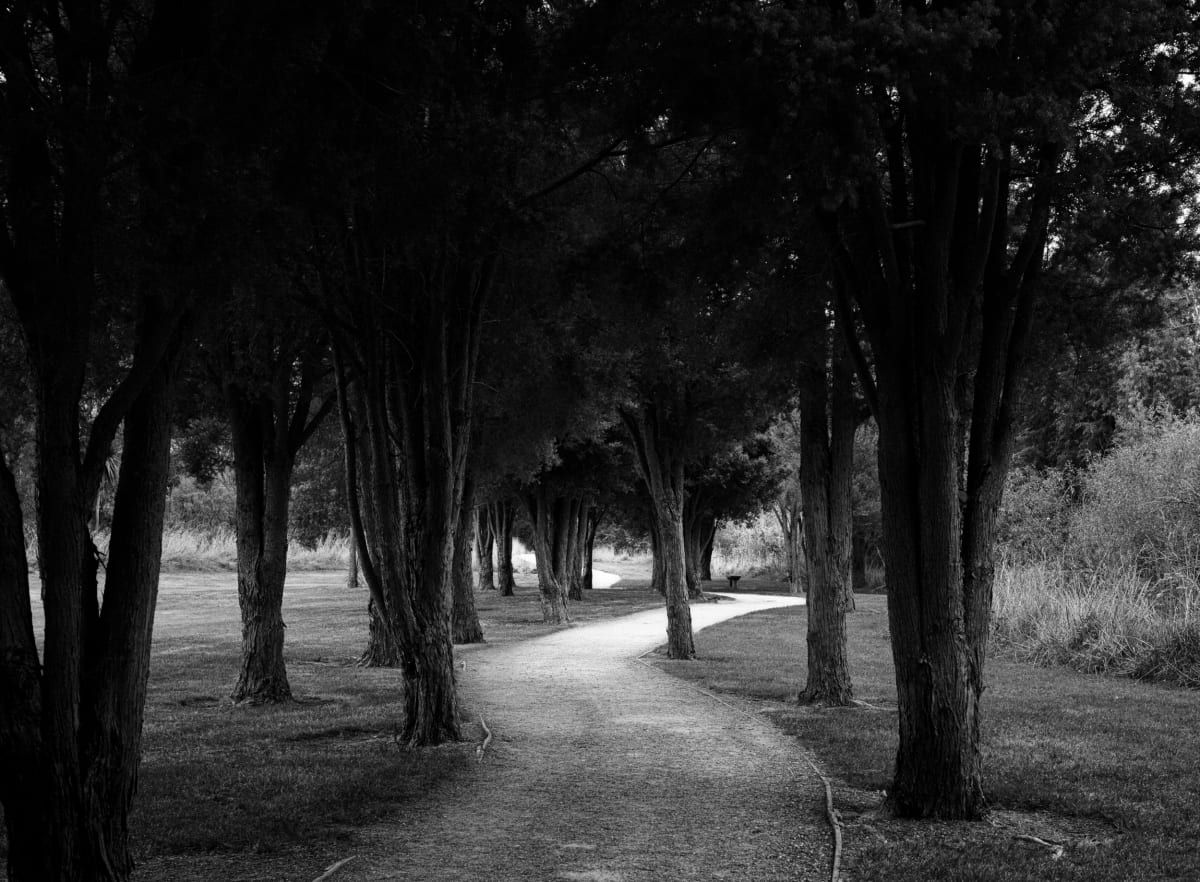 The Path  Image: Limited Edition of 21