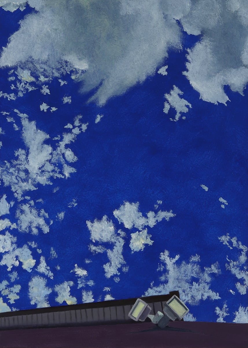 Looking Skyward 7 by Christine Rasmussen, Image 7.