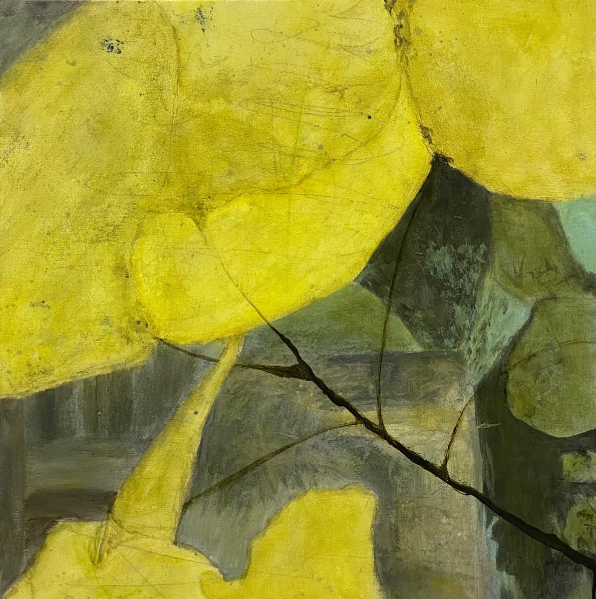 Juanita Bellavance, Variation 9, From Variations on a theme portfolio, Acrylic on canvas, 24 x 24 inches 