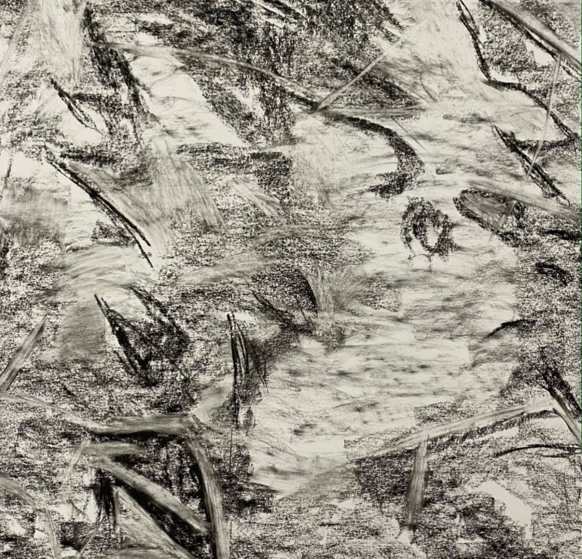 2170, Juanita Bellavance, Sketch 3, From the Chestatee River portfolio, Charkole on paper, 24 x 24 inches 