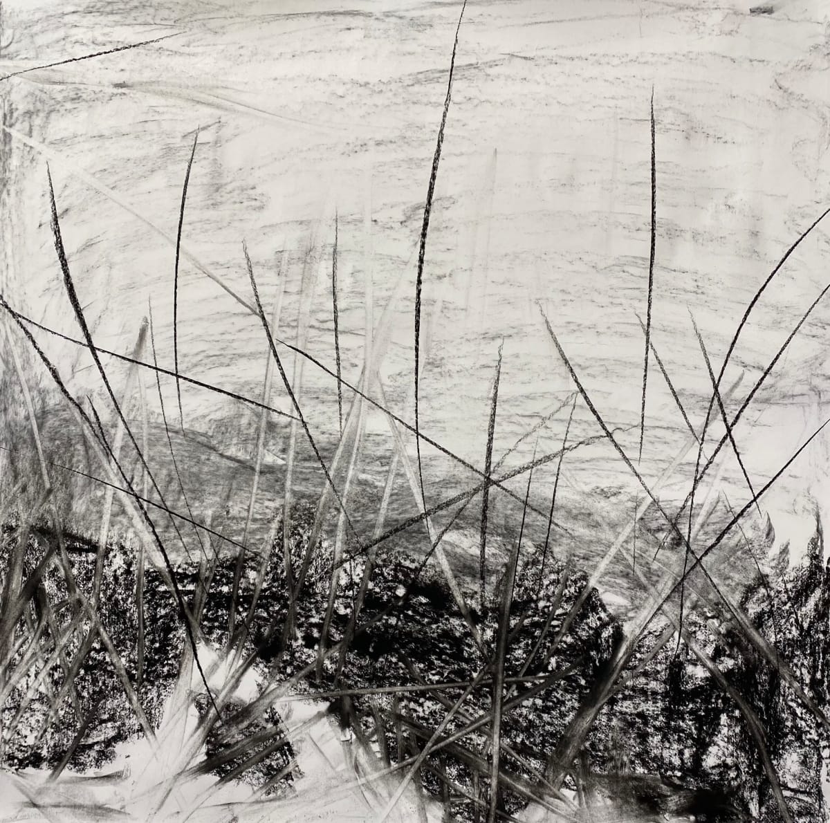 2182, Juanita Bellavance, Sketch15, From the Chestatee River Perspective, 2021, Charkole on paper, 24 x 24 inches 