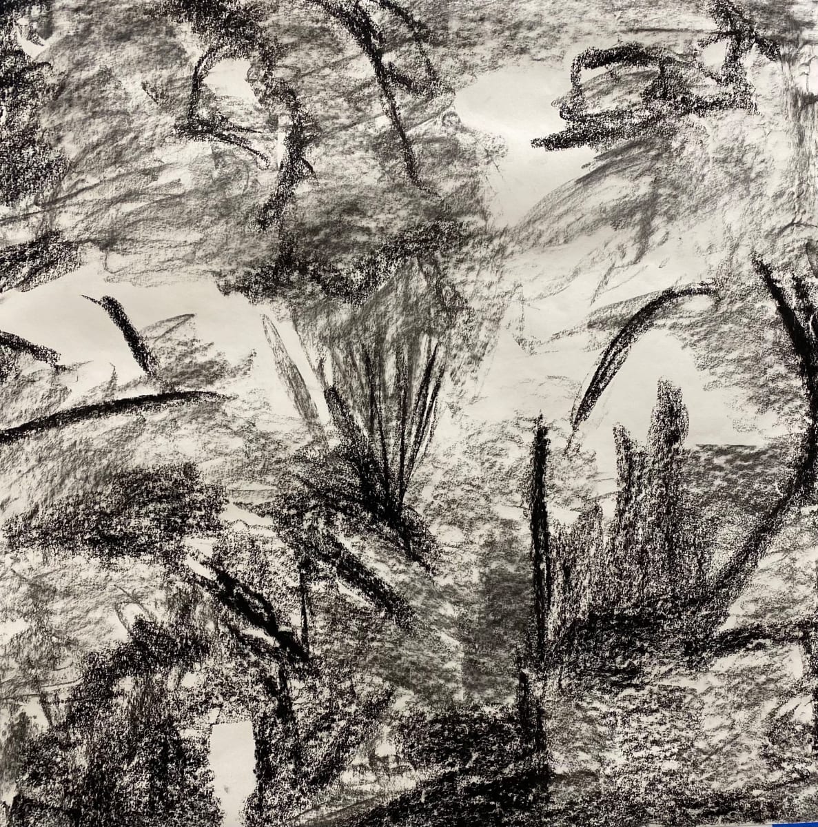 2183, Juanita Bellavance, Sketch16, From the Chestatee River Perspective, 2021, Charkole on paper, 24 x 24 inches 