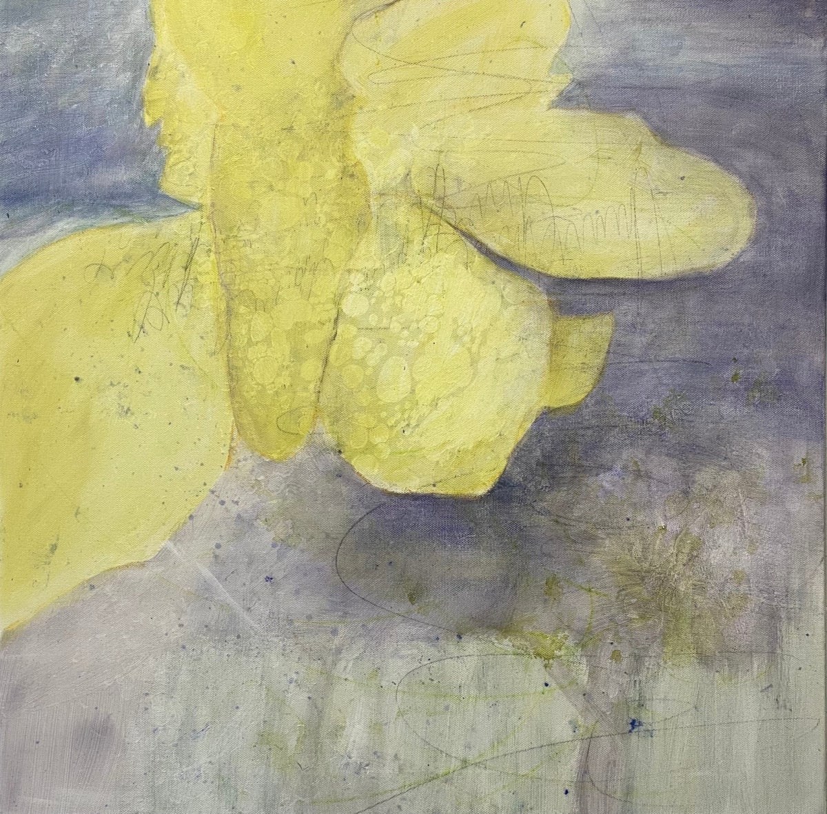 Juanita Bellavance, Variation 7, From Variations on a theme portfolio, Acrylic on canvas, 24 x 24 inches 