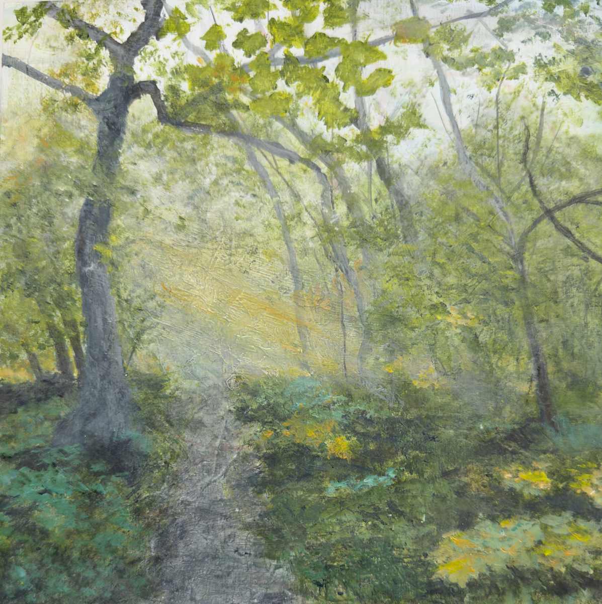 Trail of Golden Silence by Juanita 