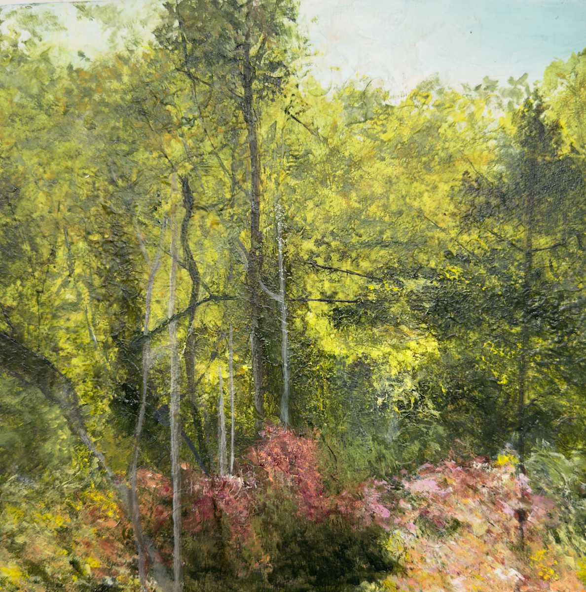 Awakening Forest by Juanita 