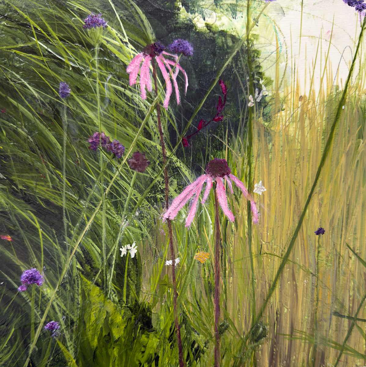 Grace in the Wild by Juanita 