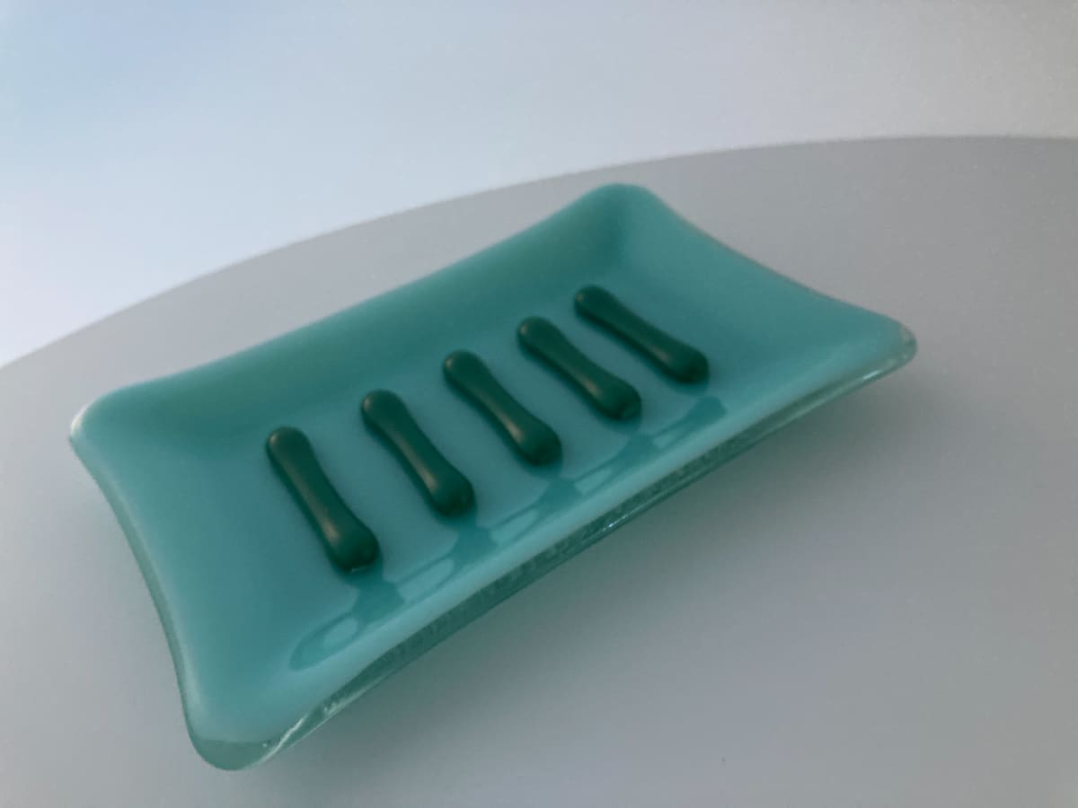 Soap Dish #1 by Shayna Heller 