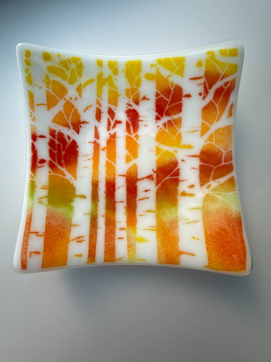 Birch Trees in the Fall #274 by Shayna Heller, Image 1.