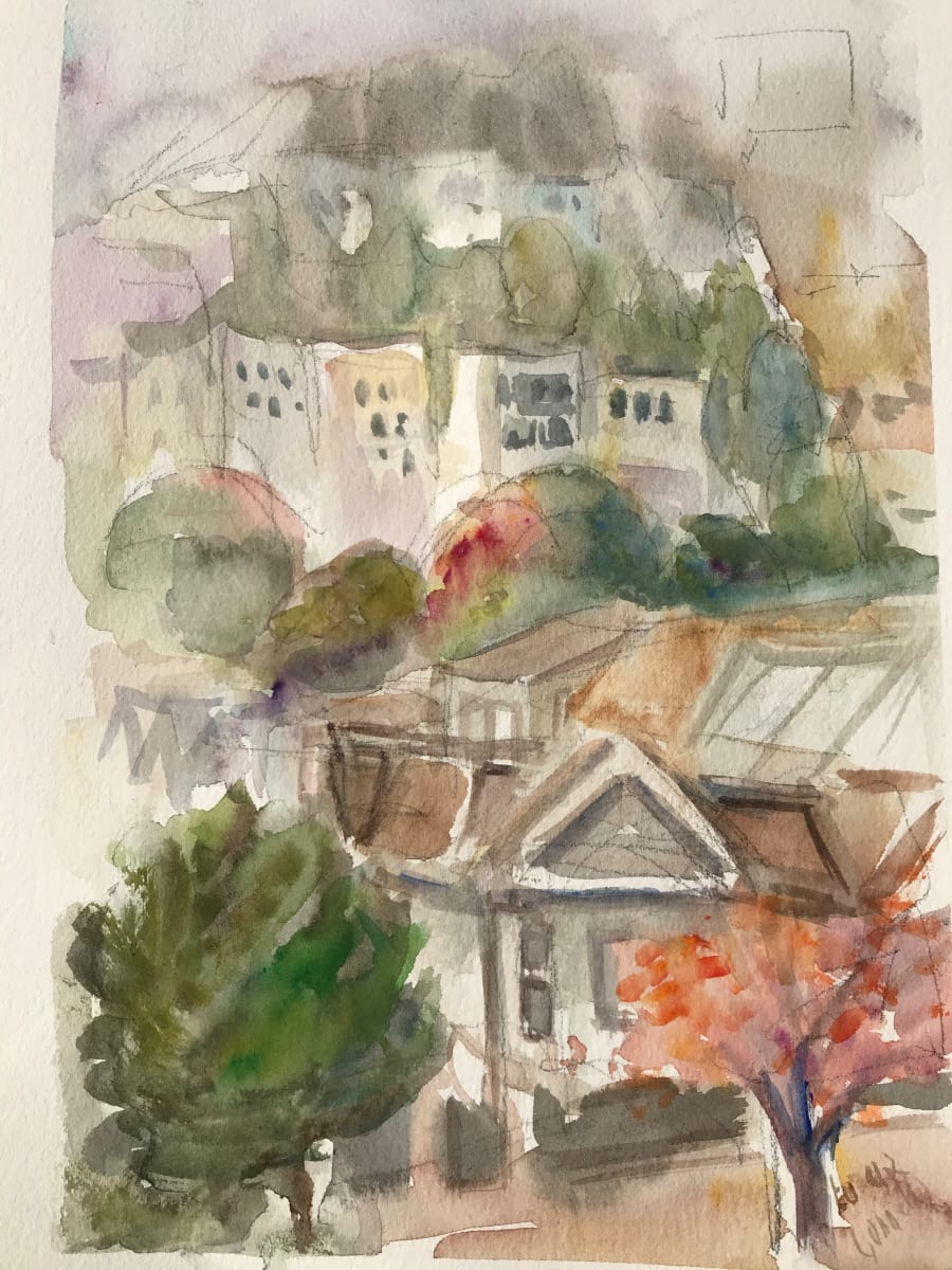 Day 3 -View of houses on Diamond Street 