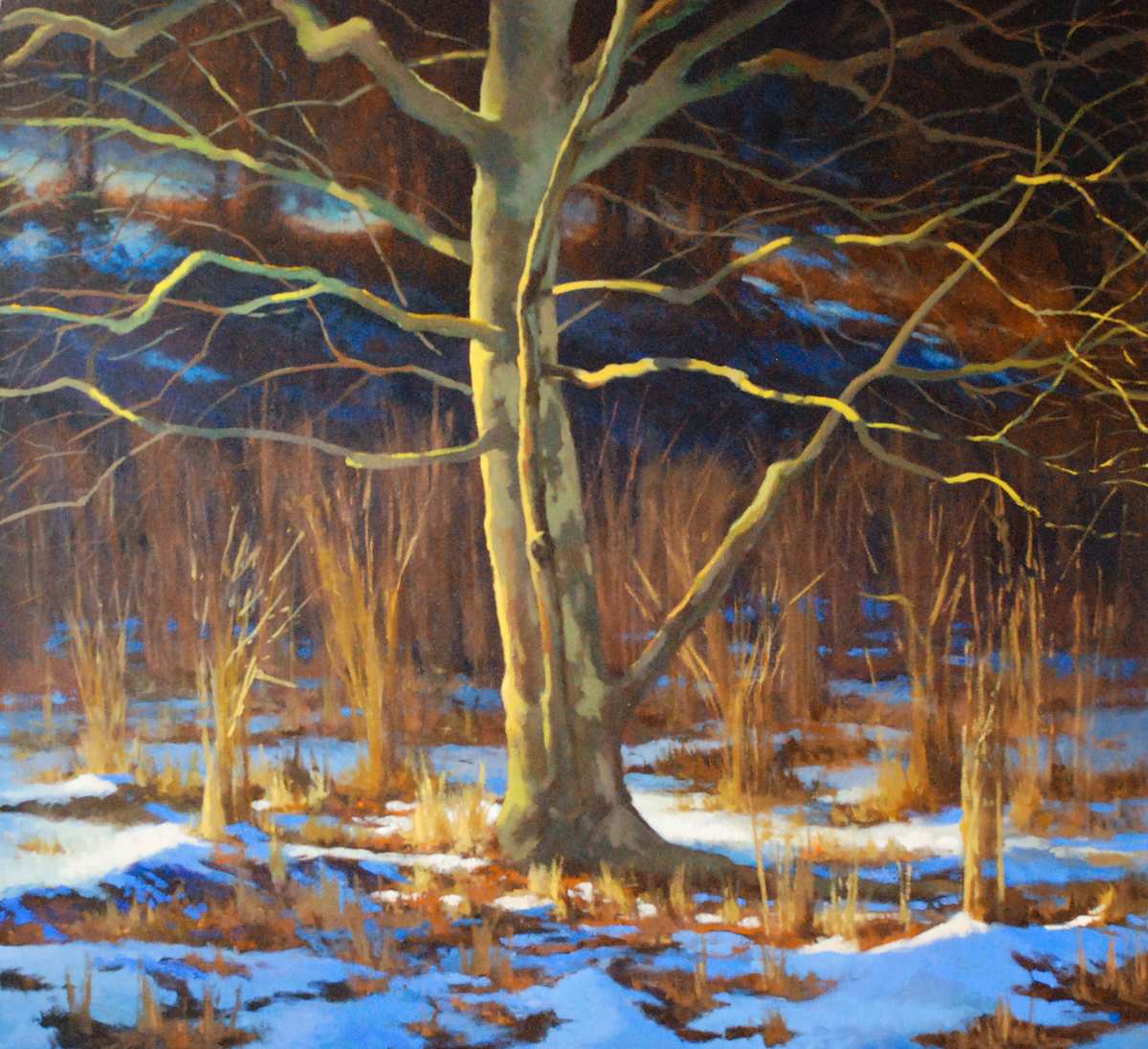 Winter Sentinel, Stroud Preserve by Gregory Blue, Image 1.