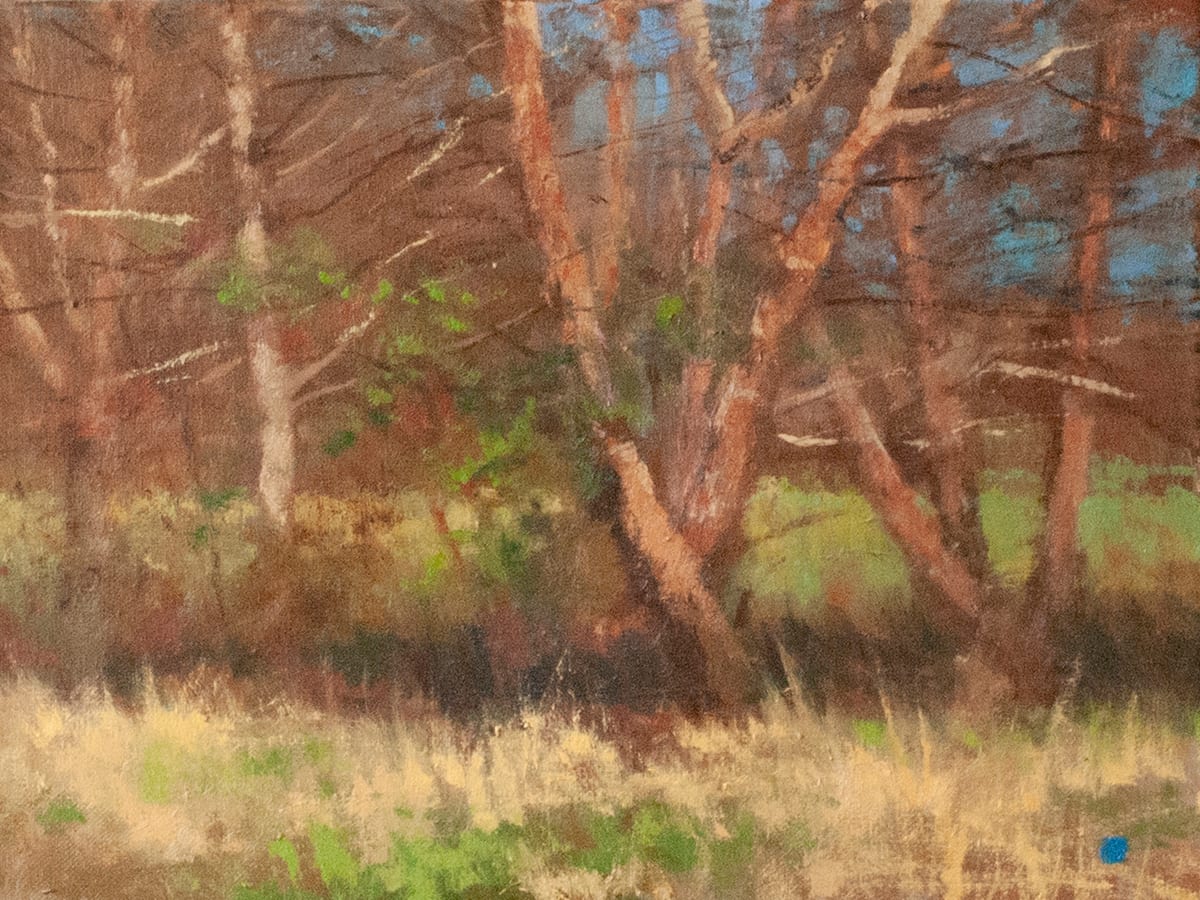 Early Spring, Study, Stroud Series by Gregory Blue 