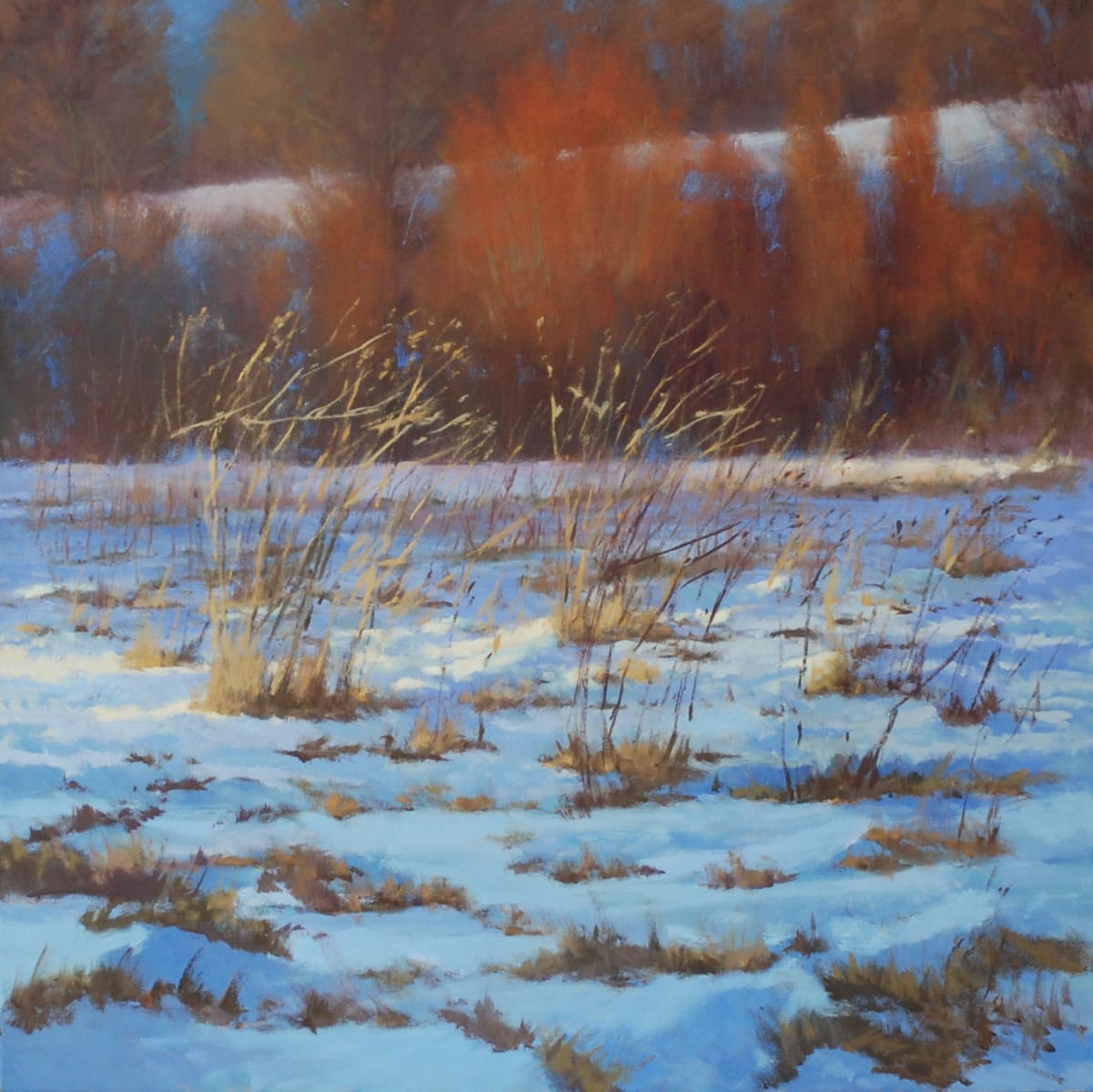 March Snowfield, Stroud Series, Study No. 4 by Gregory Blue 