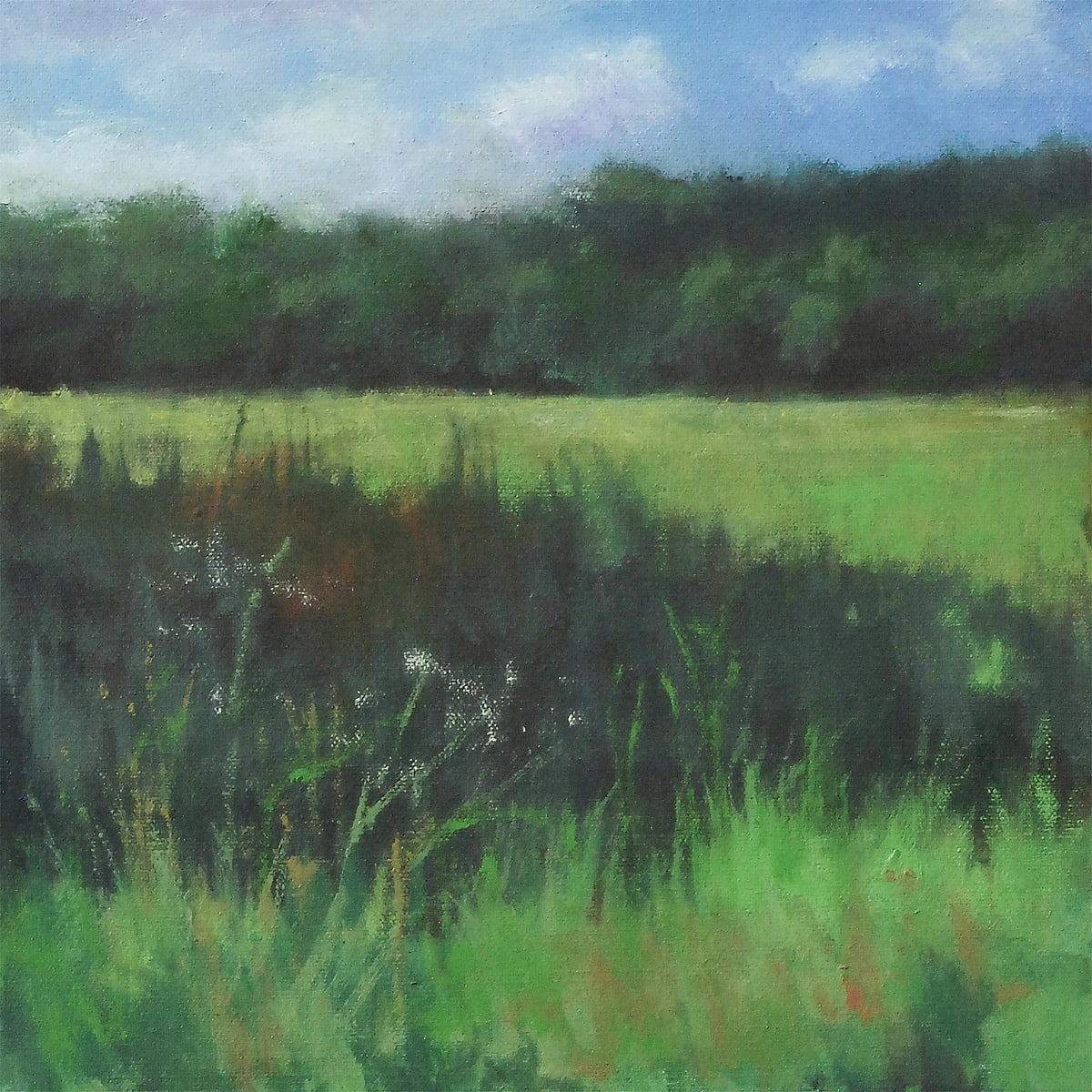 Study No 1, Plein Air, Summer Field by Gregory Blue 