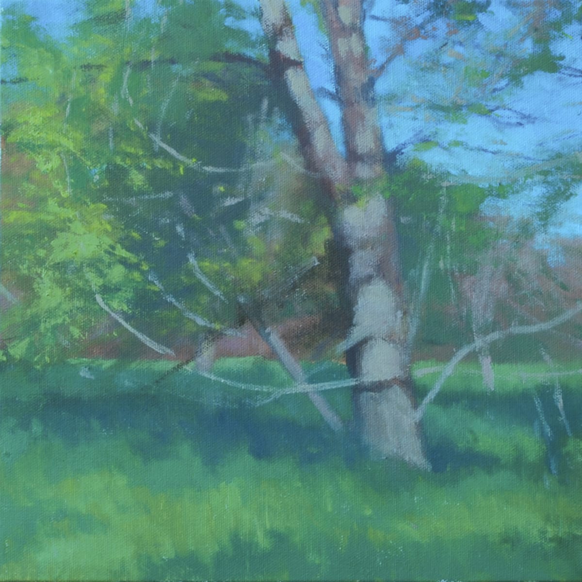 Tree Study #2, Stroud Series by Gregory Blue 