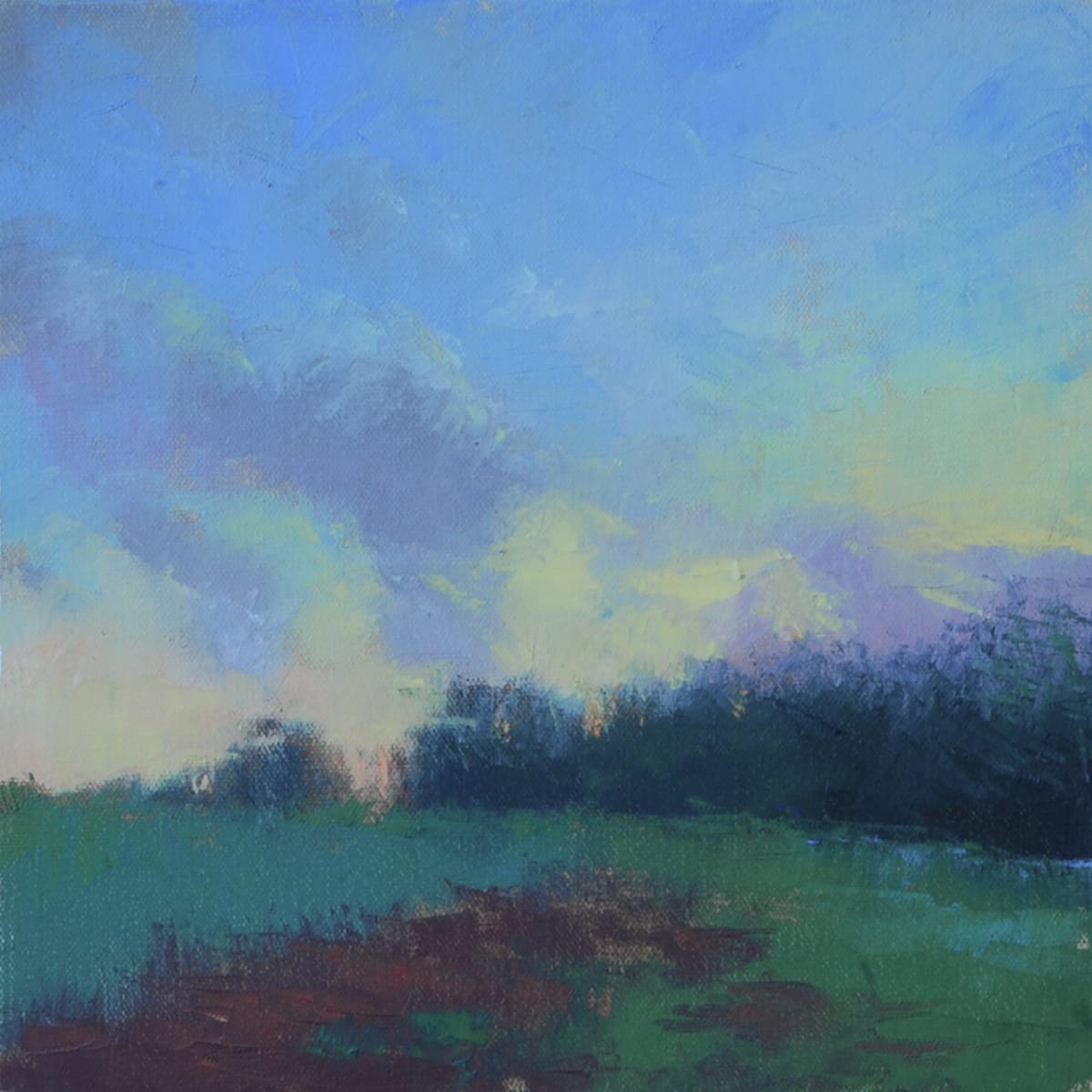 Spackman Farm Evening Light, Study 