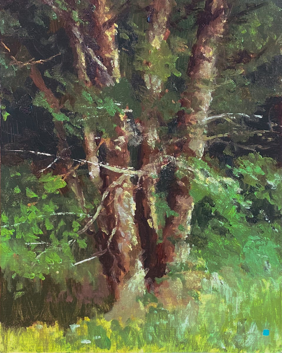 River Birch Study, Stroud Series by Gregory Blue 