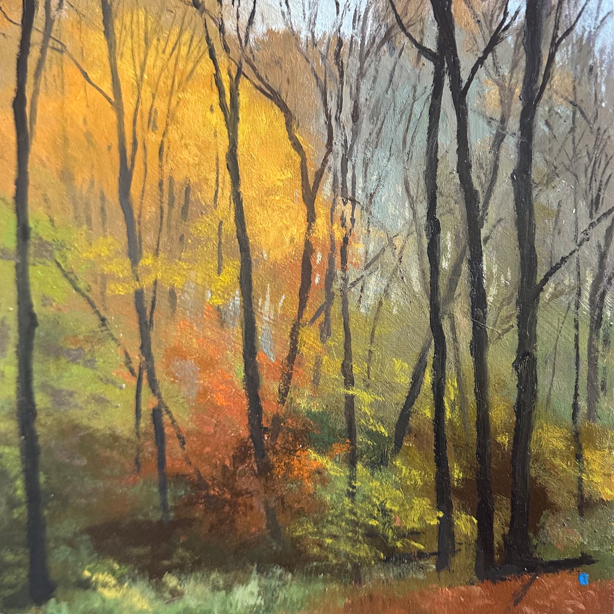 Autumn Woods by Gregory Blue 