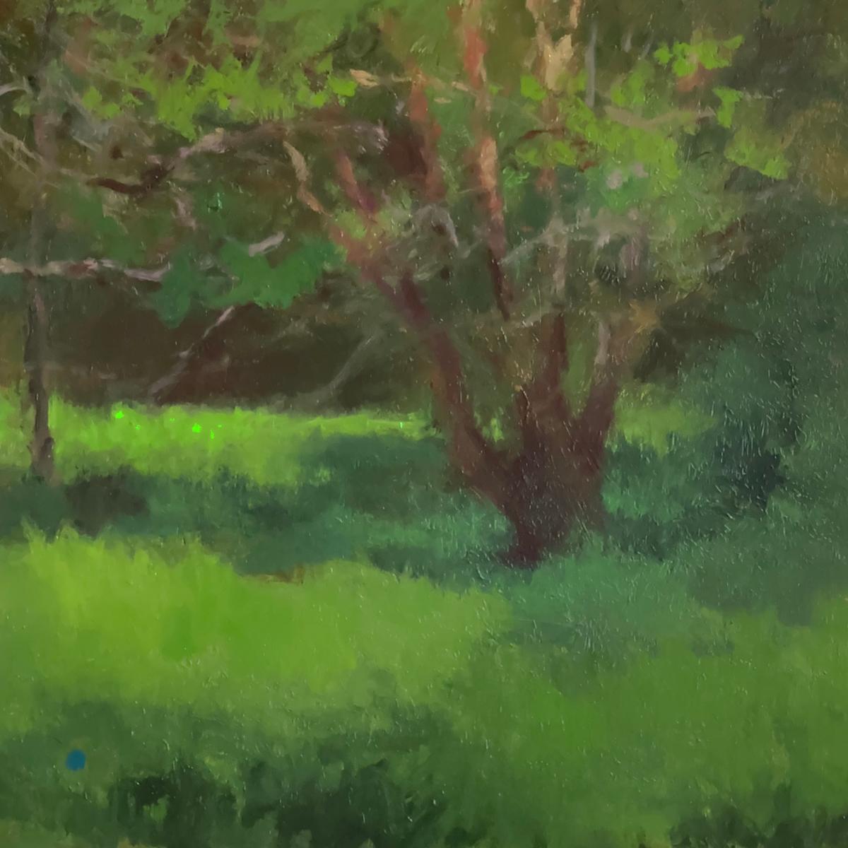 Soft Light and Shadows, Study by Gregory Blue, Image 1.