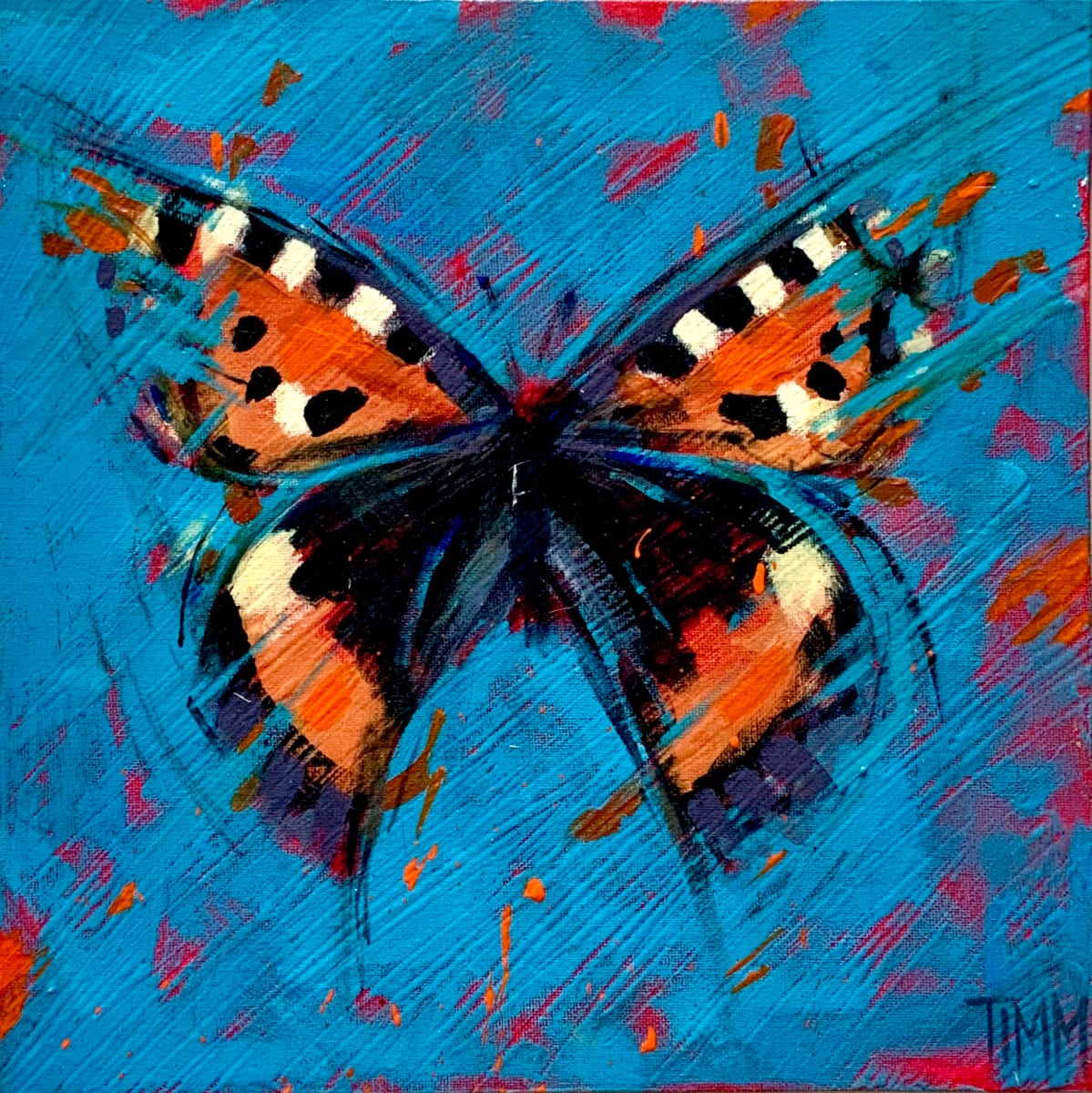 Talulah Tortoiseshell, Image 1.
