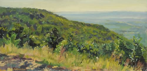 Hot Day on Mount Nebo, AR by Matthew Lee 