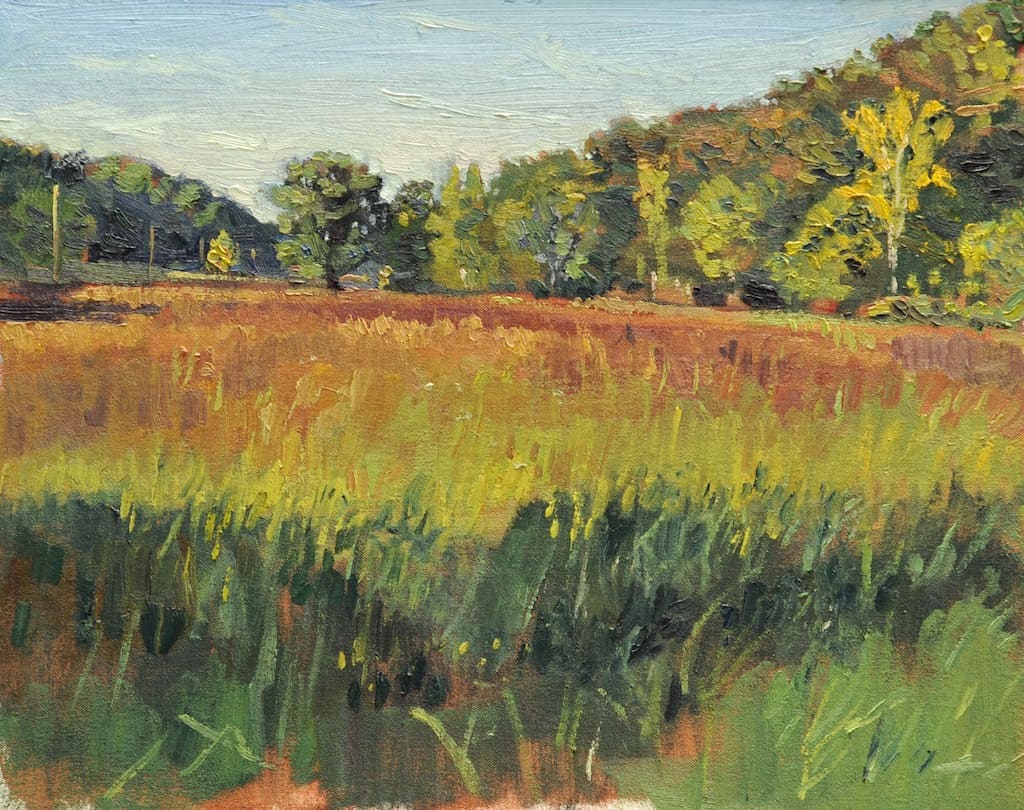 Late Sun on Fields in Franklin, TN by Matthew Lee, Image 1.