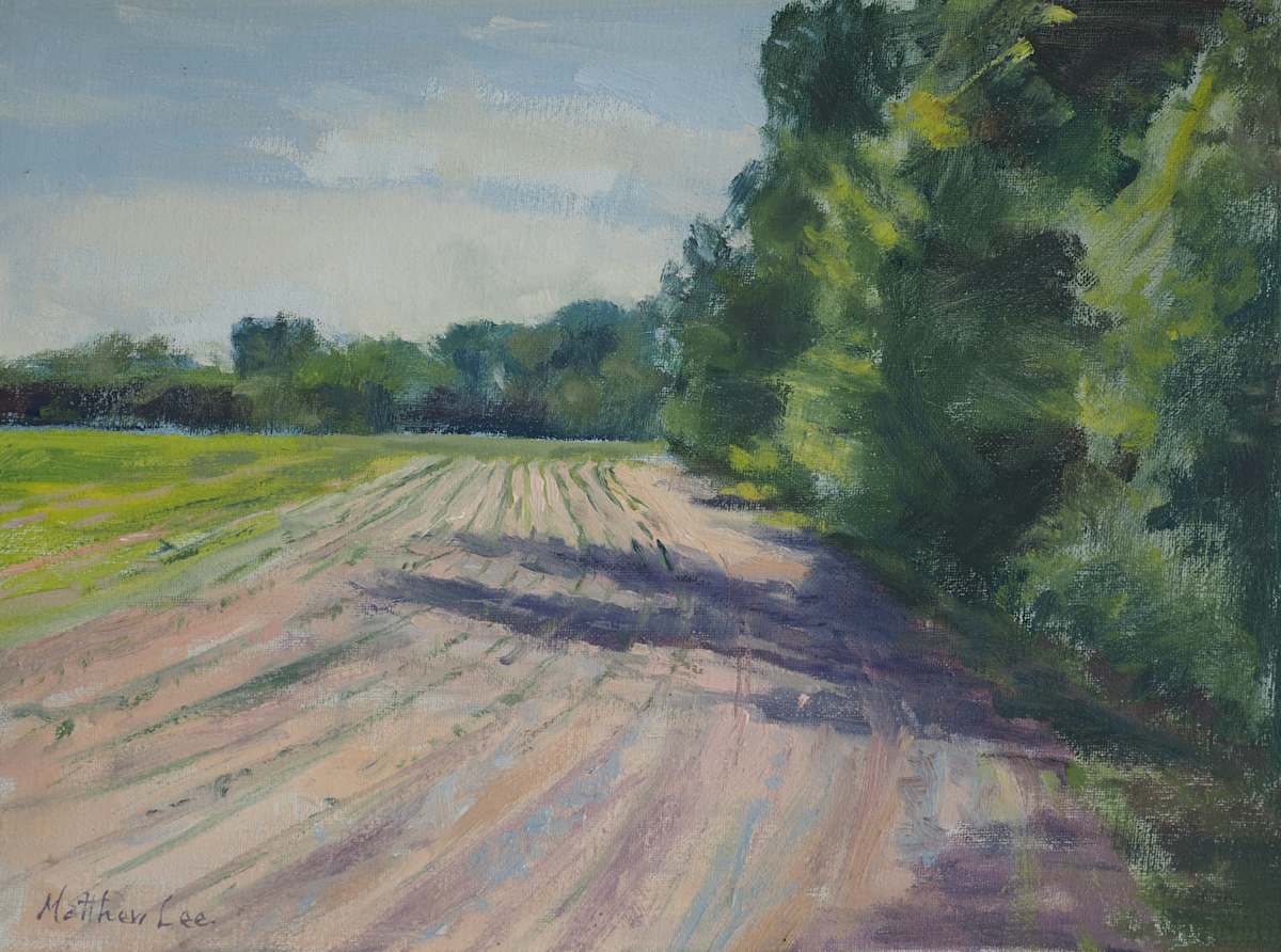 Shadows Moving Across the Fields by Matthew Lee 