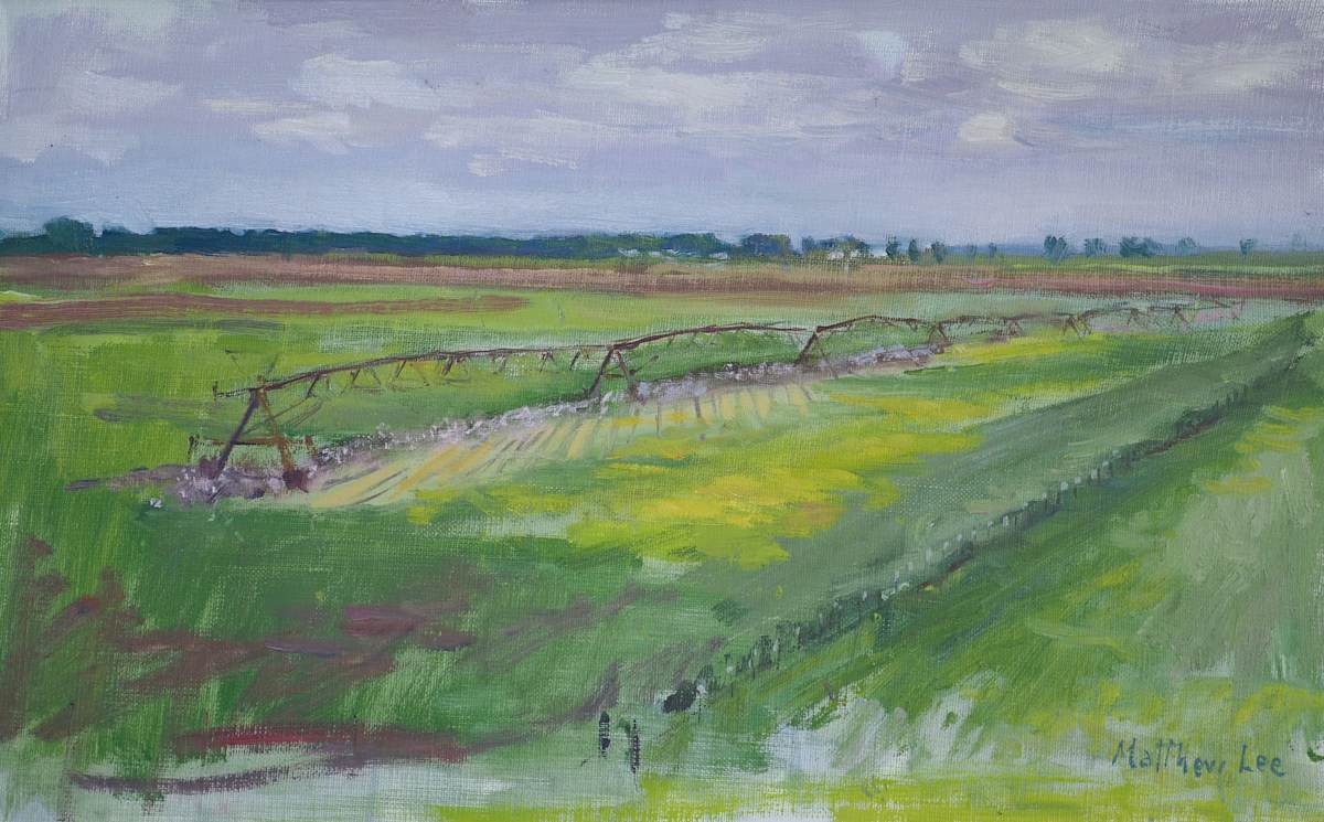 Painting from the Levee- Irrigation Lines and Cotton by Matthew Lee 