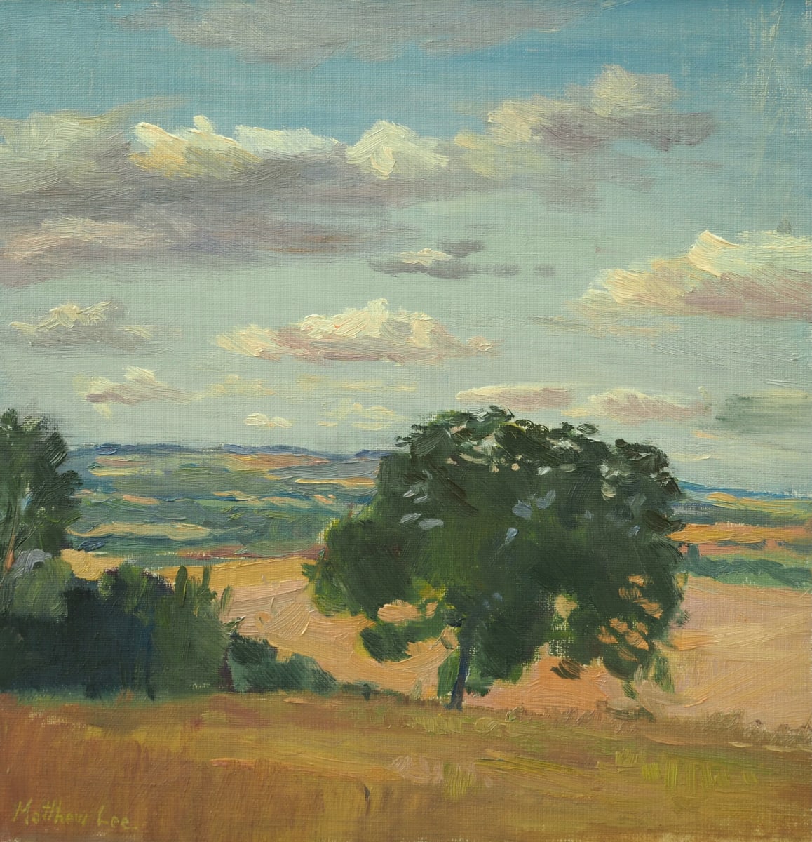 Oak Tree with Passing Clouds in Plieux, France by Matthew Lee 
