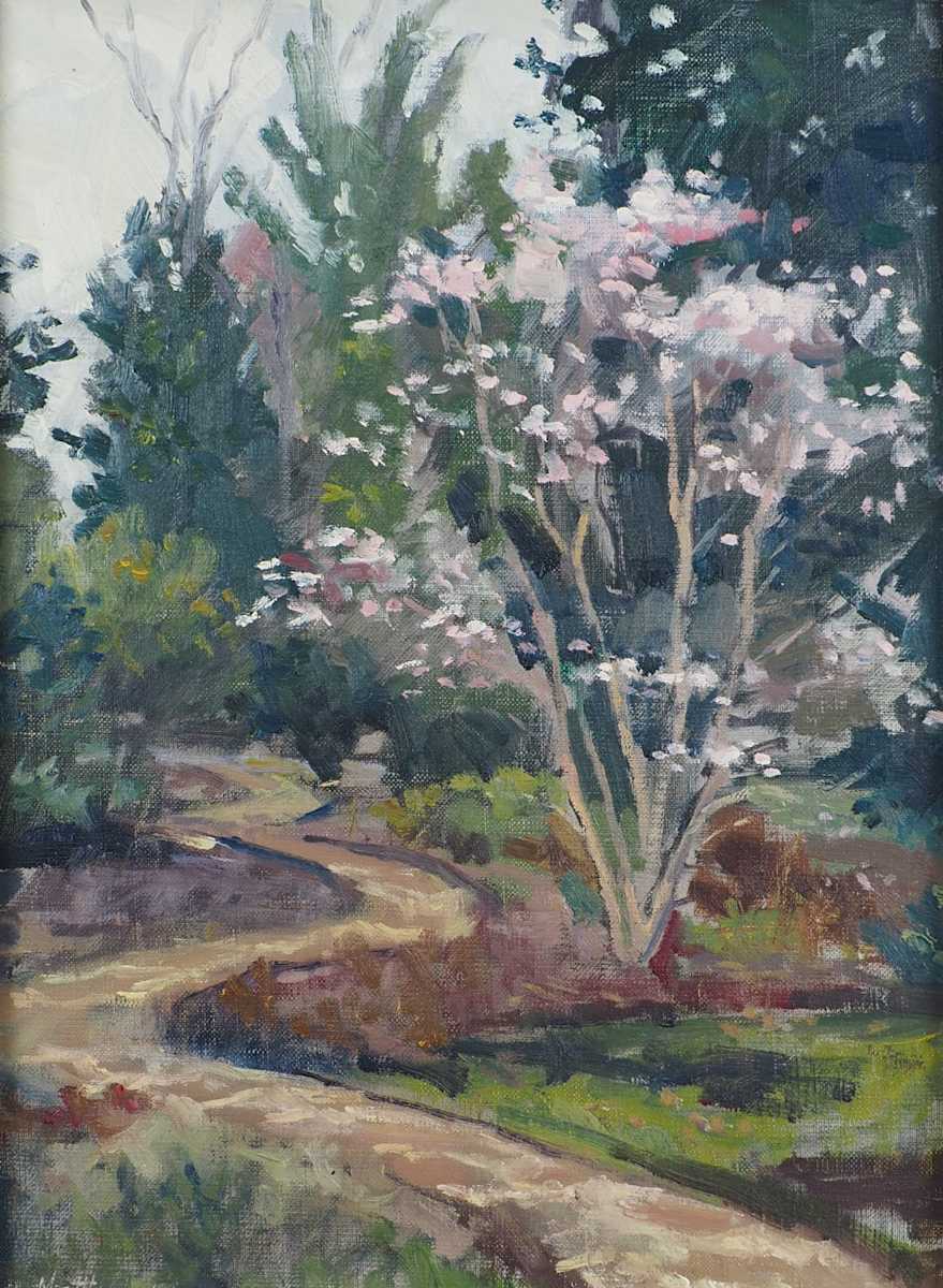 Path in Early Spring at the Botanic Gardens by Matthew Lee, Image 3.