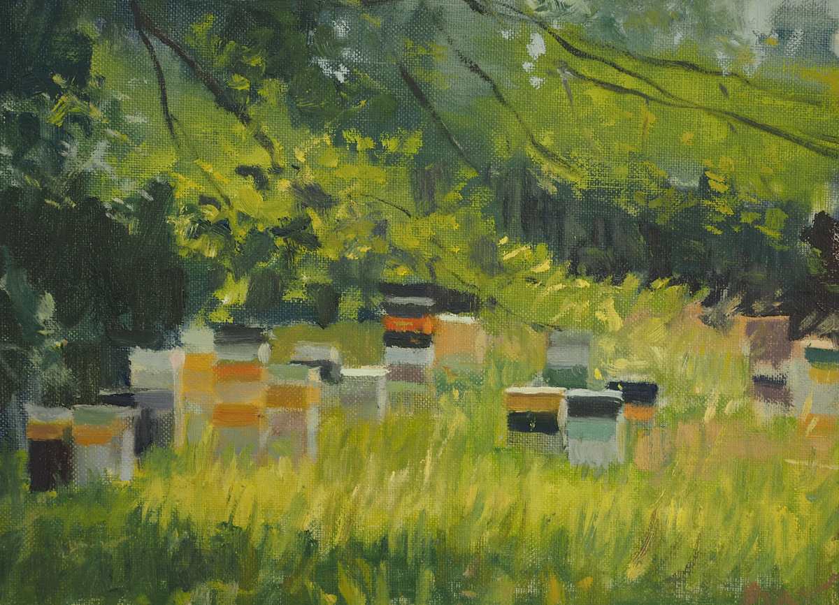 Bee Boxes by Matthew Lee 