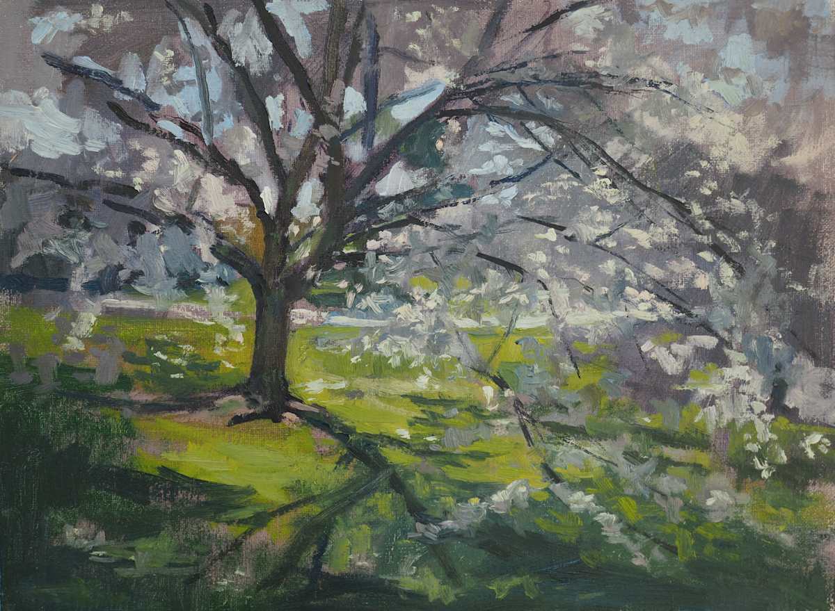 Cherry Rd by Matthew Lee 