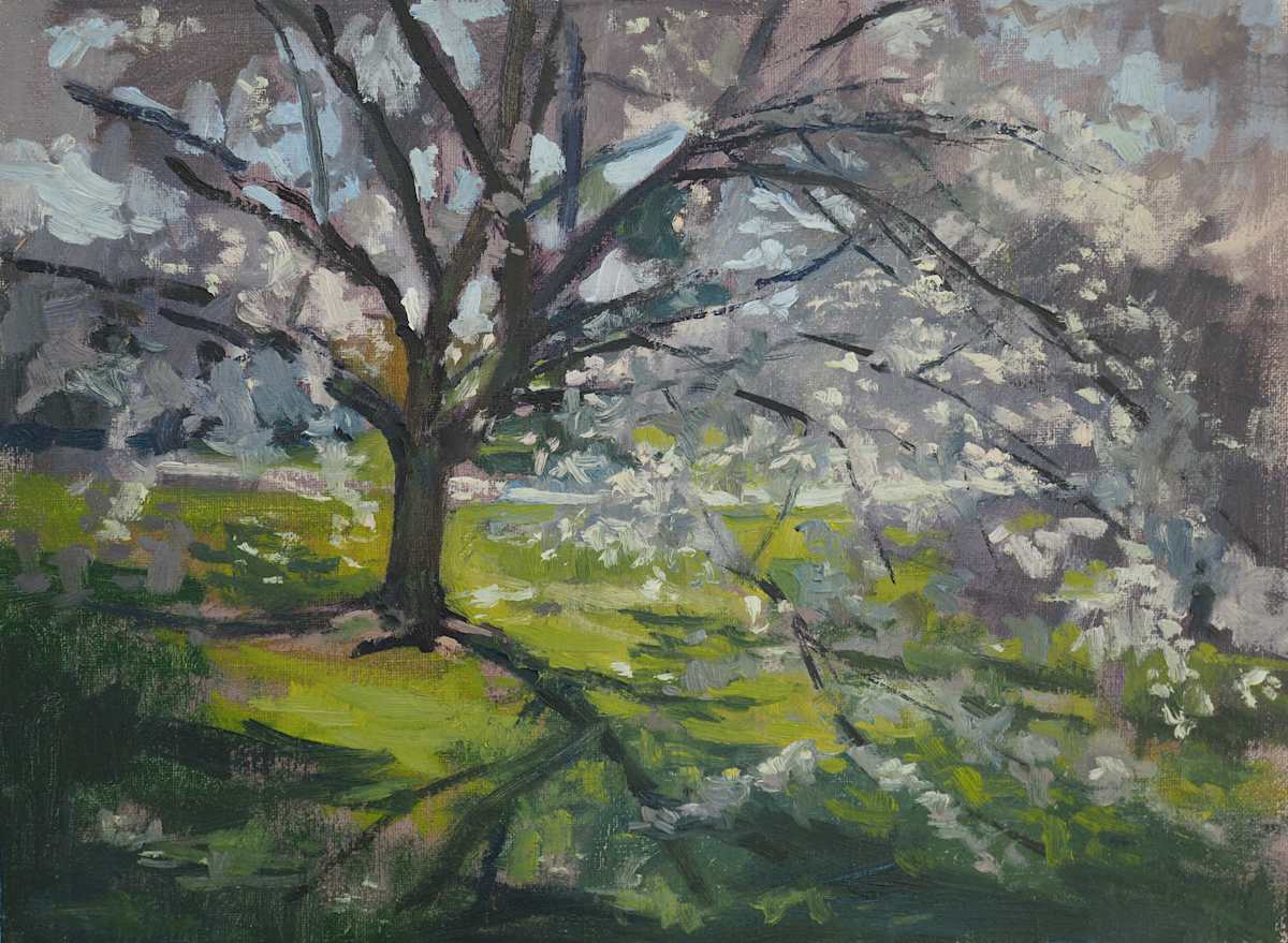 Cherry Rd by Matthew Lee, Image 6.