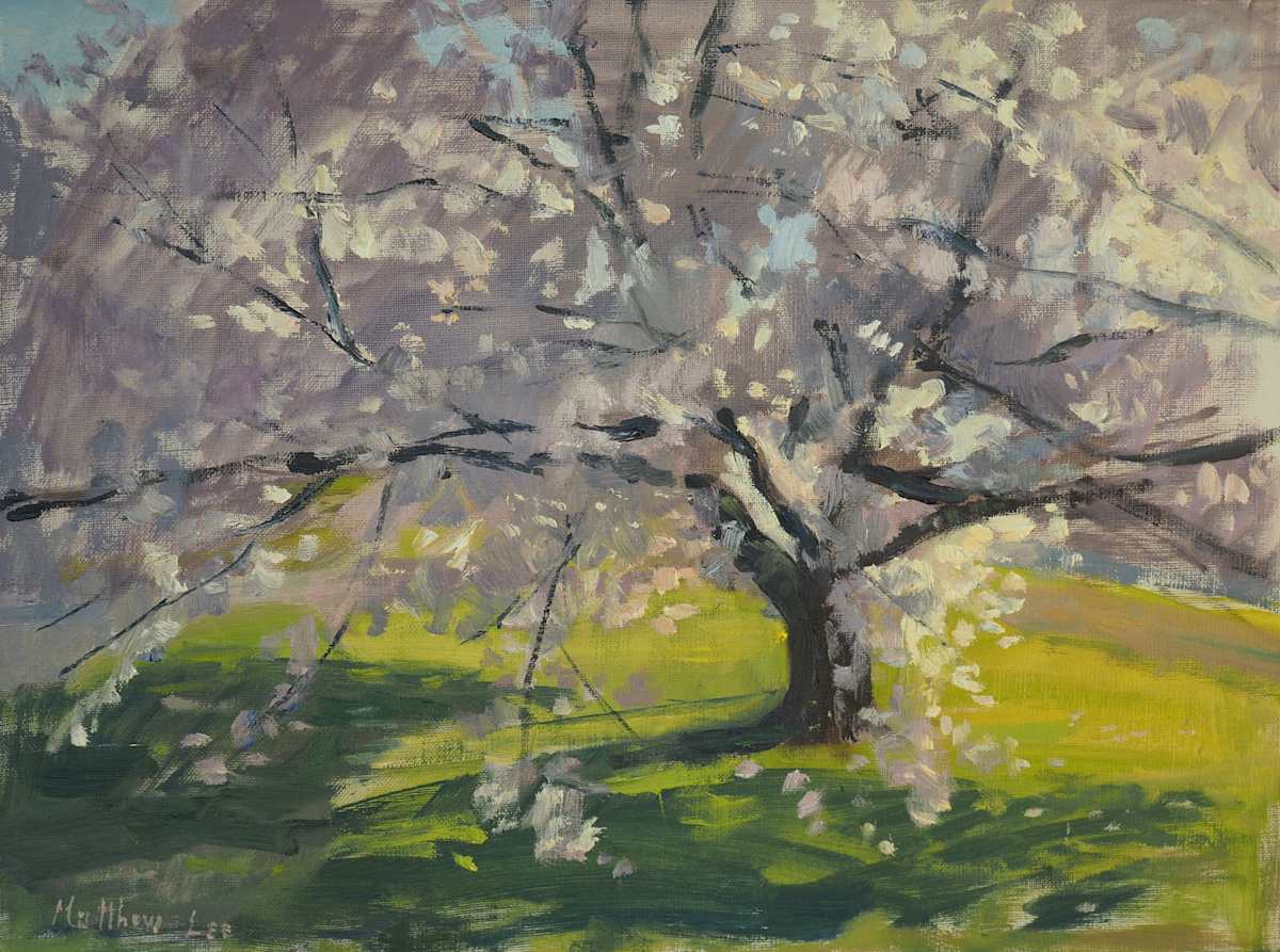 Cherry Rd 2 by Matthew Lee, Image 3.
