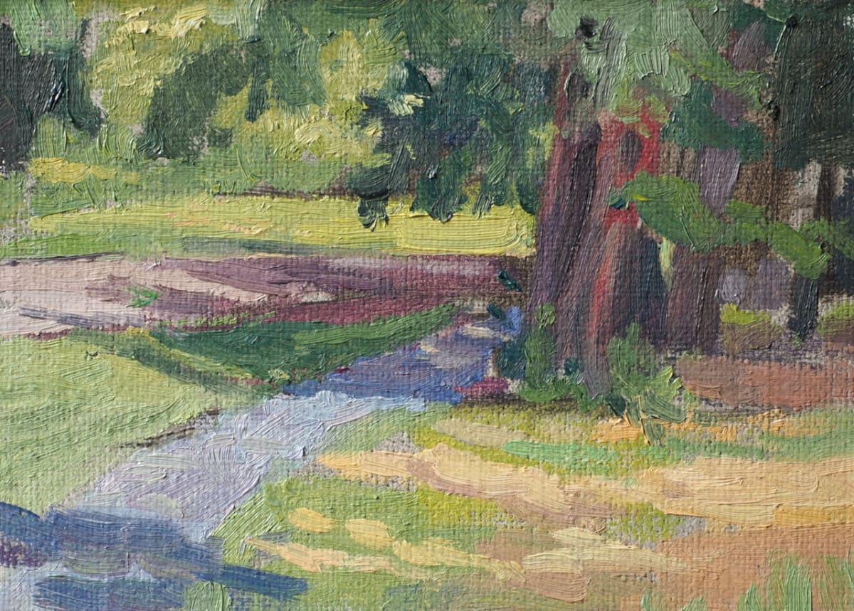 Shadows from the Sweet Gum Tree at Overton by Matthew Lee 