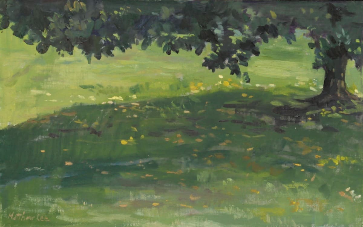 Magnolia Shade in Summer by Matthew Lee, Image 1.