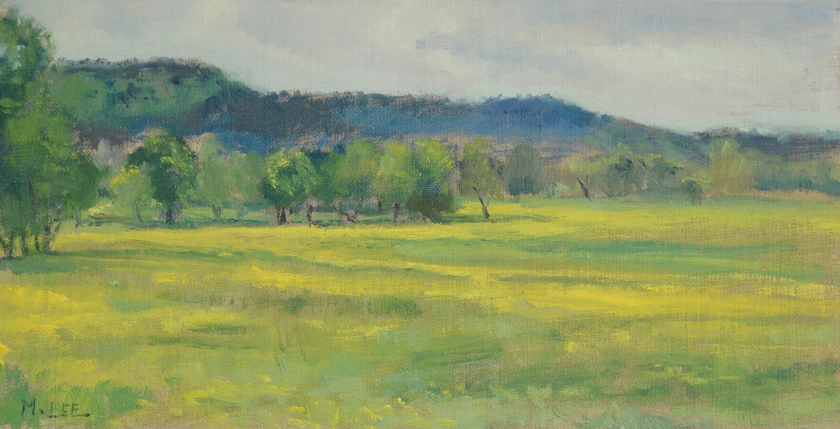 Yellow Fields outside the Ozark National Forest by Matthew Lee 