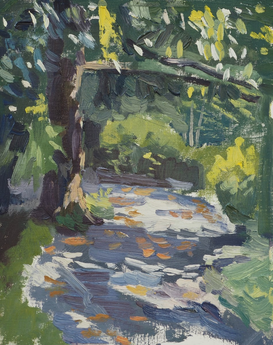 Walking Path at the Dixon by Matthew Lee, Image 7.